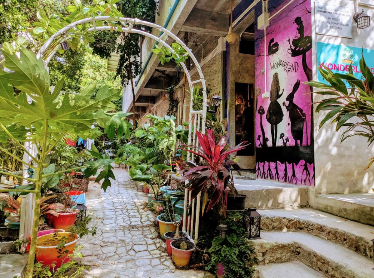 wonderland-jungle-hostel-thailand-entrance-e1744887257260